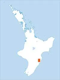 BL38 Waipukurau Topographic Map by Land Information New Zealand (2009)