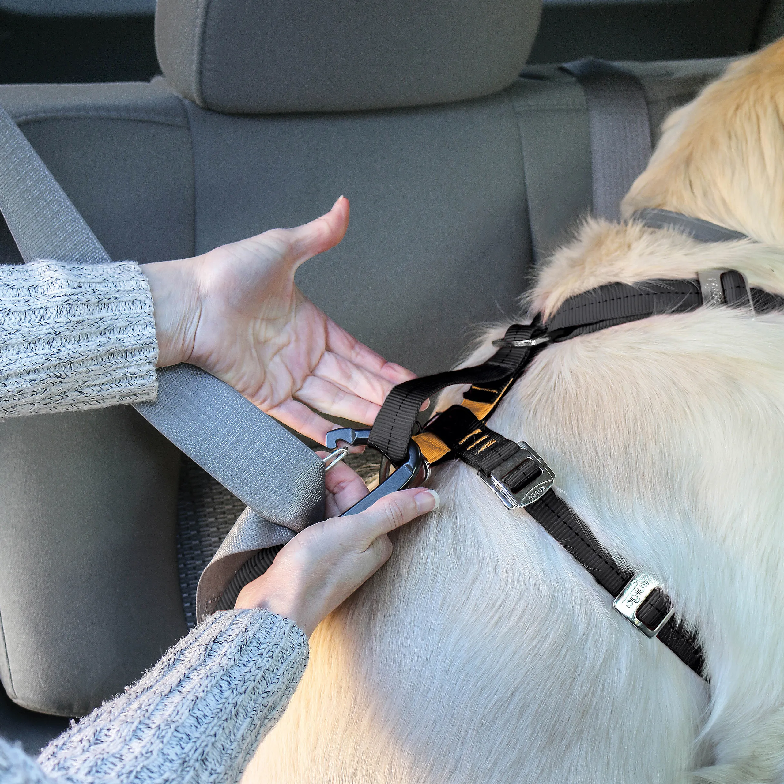 Kurgo Enhanced Strength Tru Fit Dog Car Harness Black