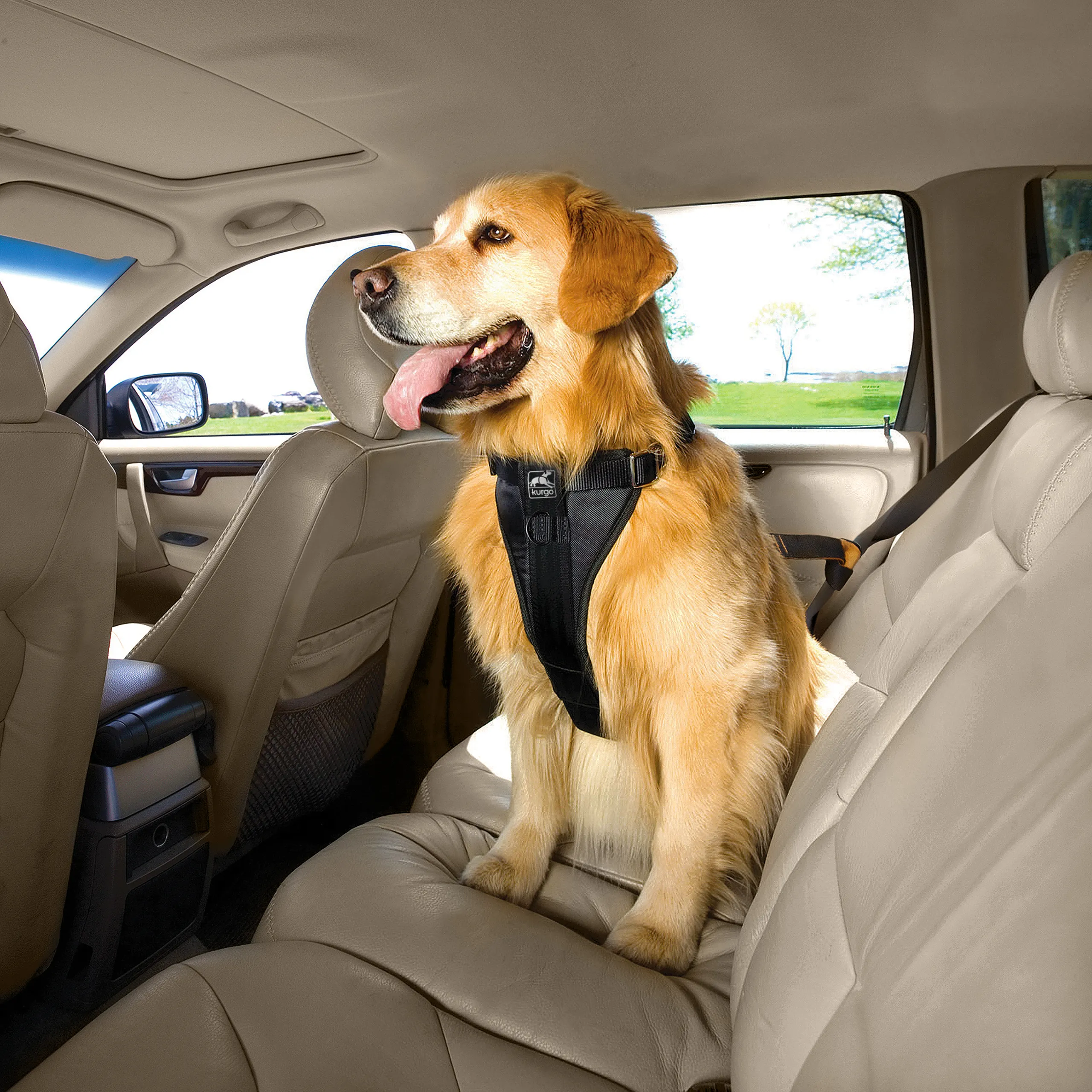 Kurgo Enhanced Strength Tru Fit Dog Car Harness Black