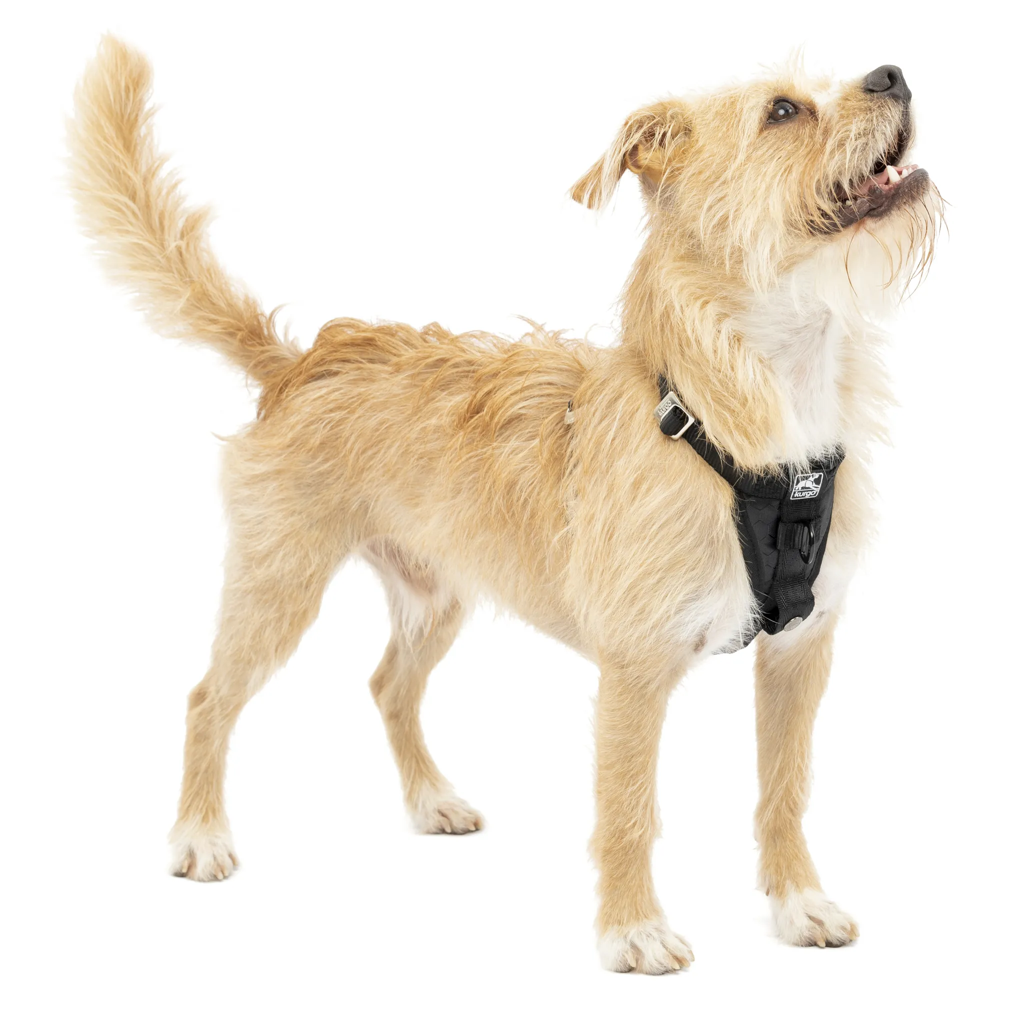 Kurgo Enhanced Strength Tru Fit Dog Car Harness Black
