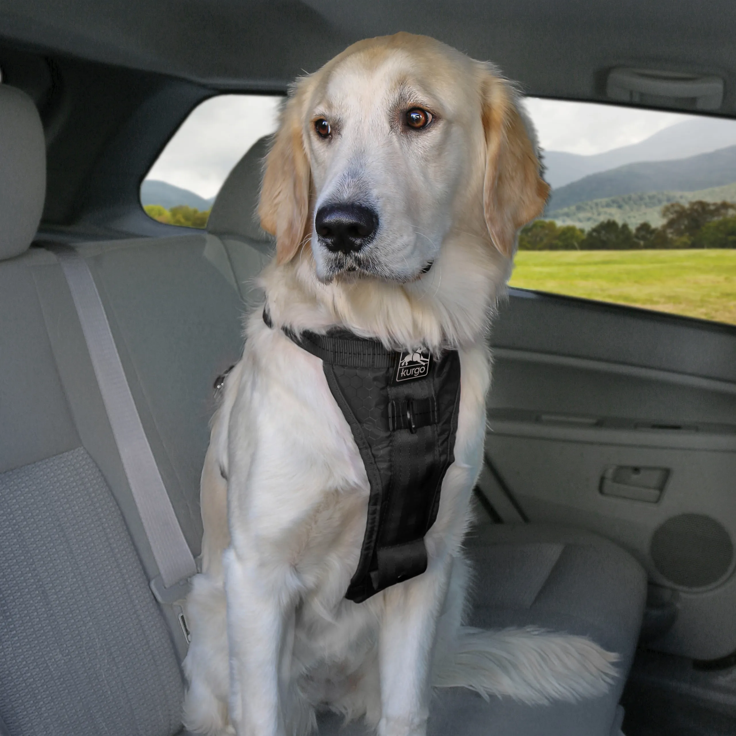 Kurgo Enhanced Strength Tru Fit Dog Car Harness Black