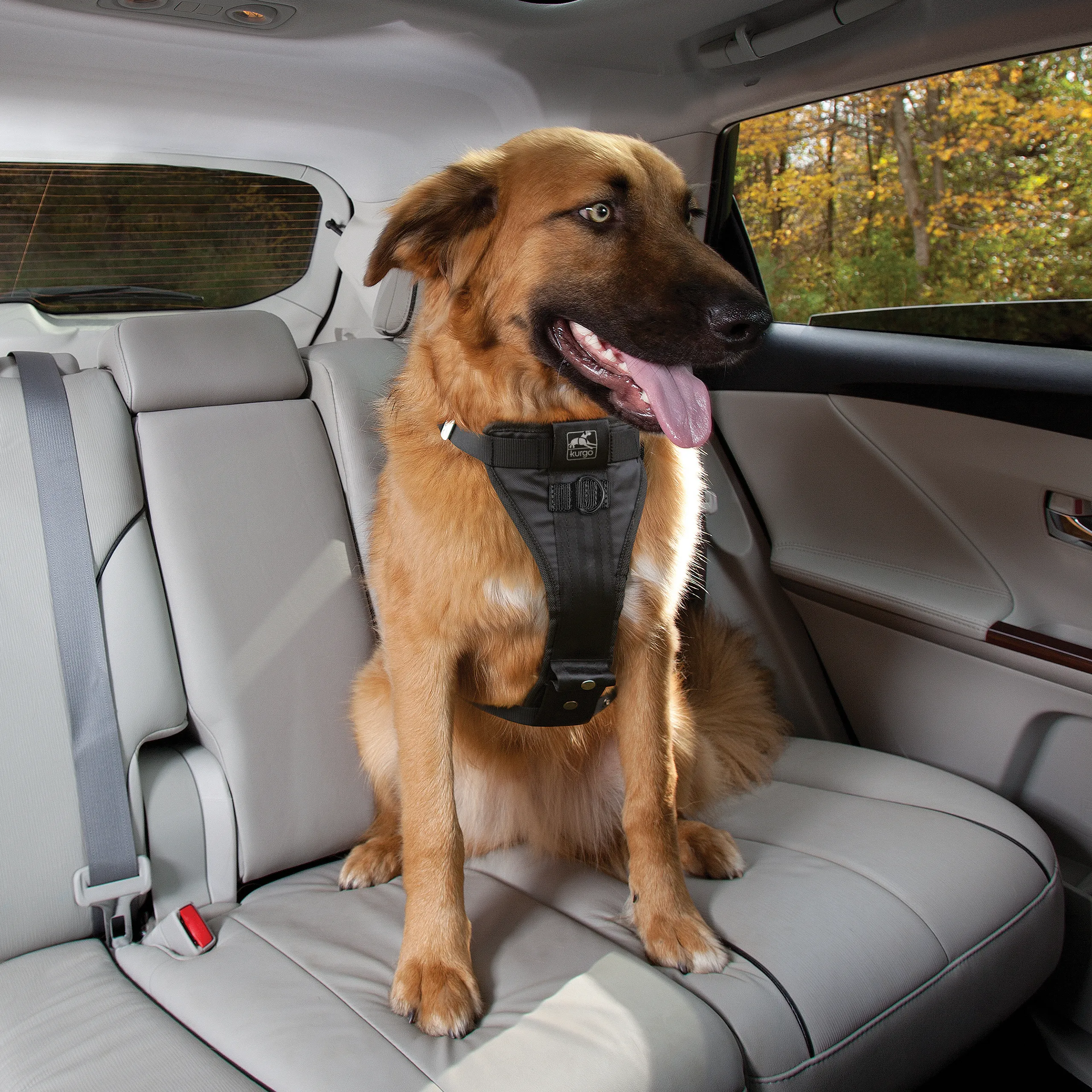 Kurgo Enhanced Strength Tru Fit Dog Car Harness Black